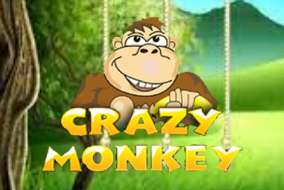 Crazy Monkey